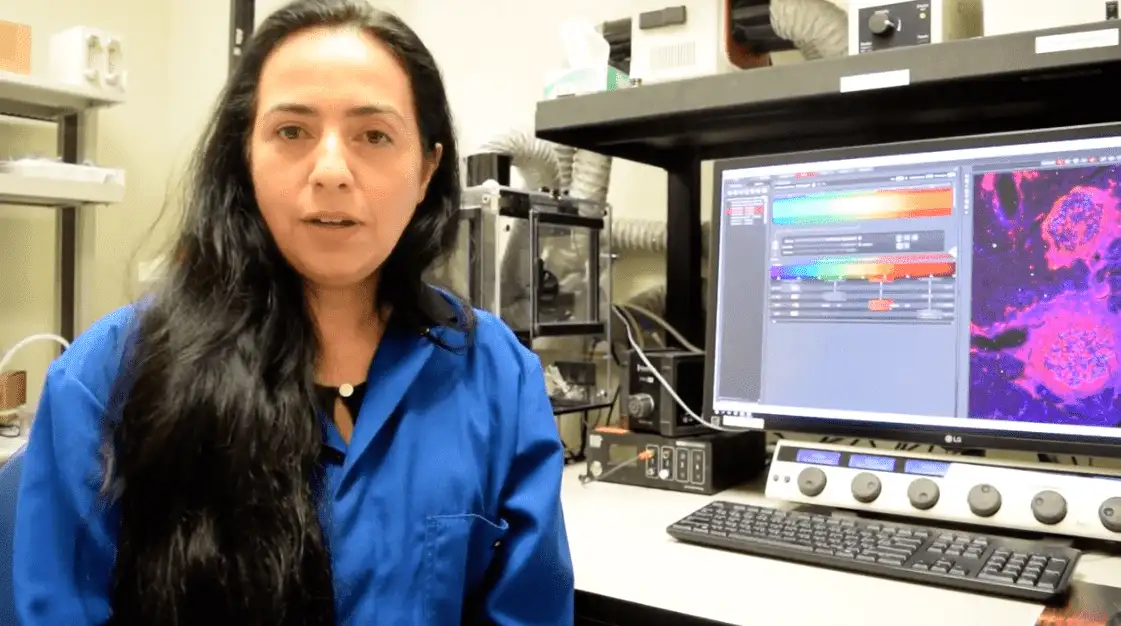 Dr. Sandra Mara Ferreira's Project