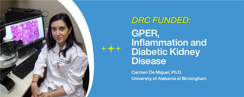 Fighting Diabetic Kidney Disease by Targeting Inflammation: A New Approach from Dr. Carmen De Miguel