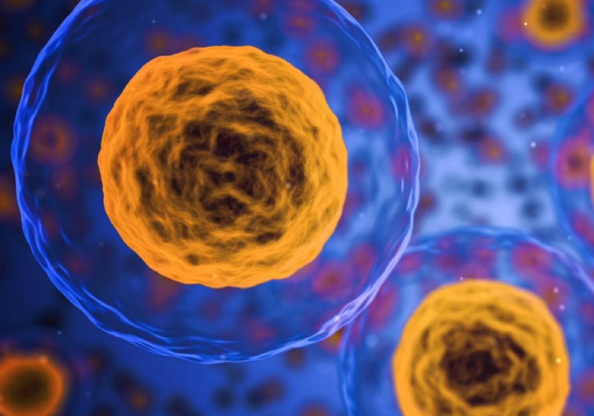 Diabetes Synthetic Cells