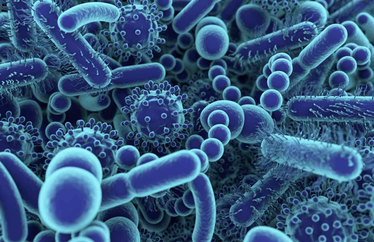 Examining Gut Microbiome Differences