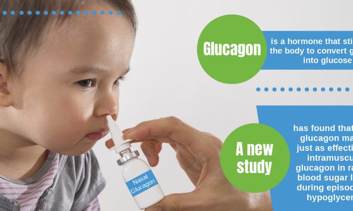 Prime Video: Suicide Silence - Ending Is The Beginning: The Mitch Lucker  Memorial Show, image size:1200x720