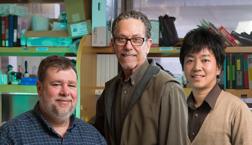 Salk researchers Michael Downes, Ron Evans and Eiji Yoshihara. — Salk Institute